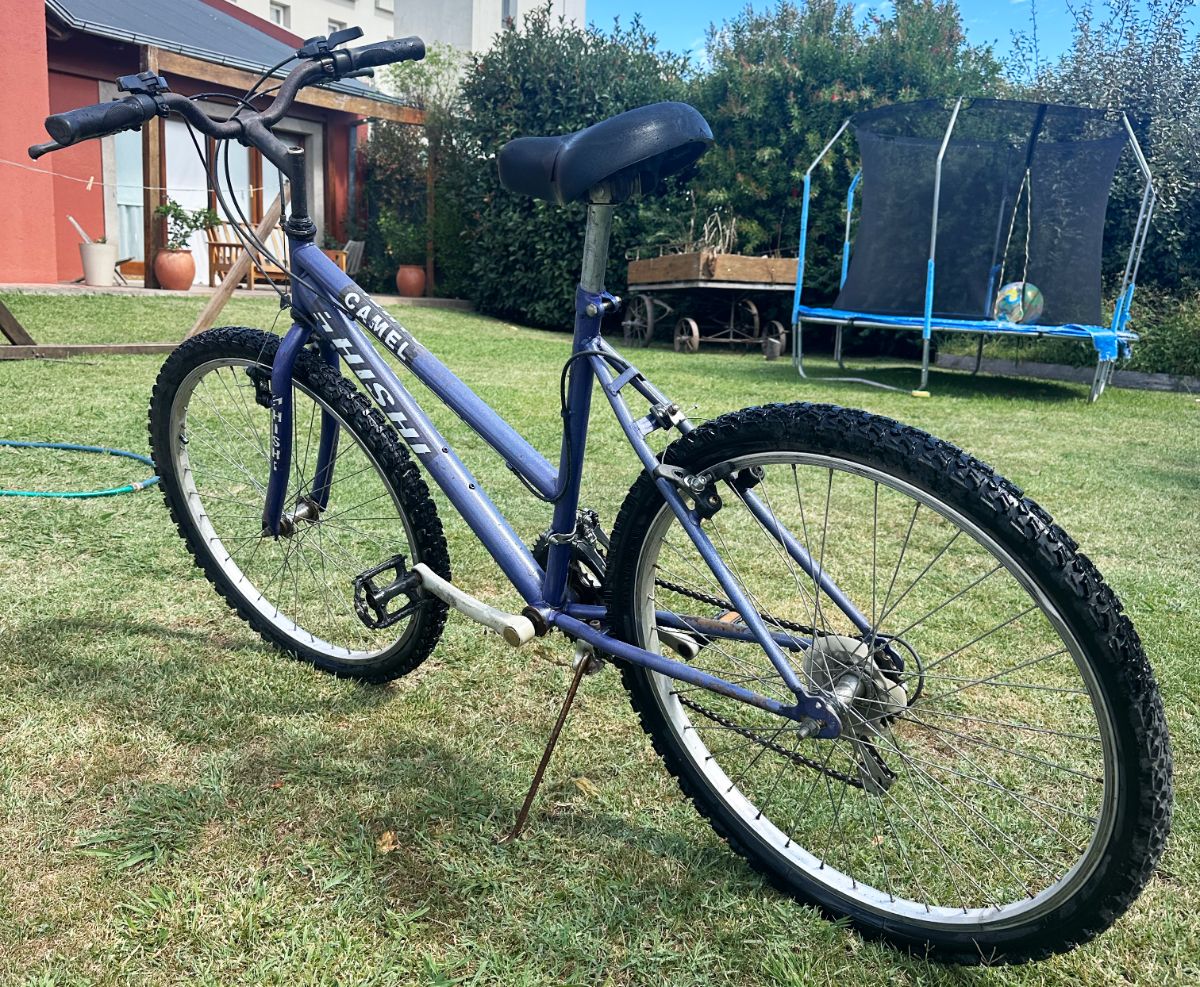 Bicicleta Mountain Bike