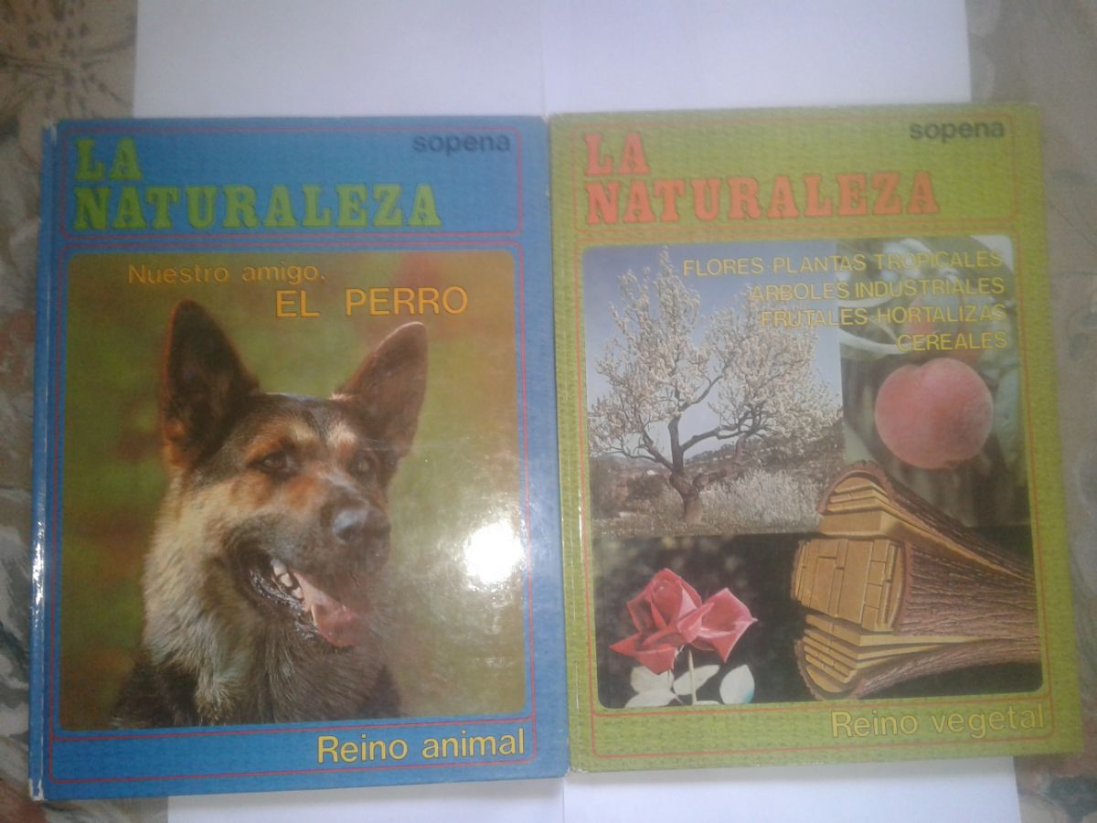 11 Libros grandes autores