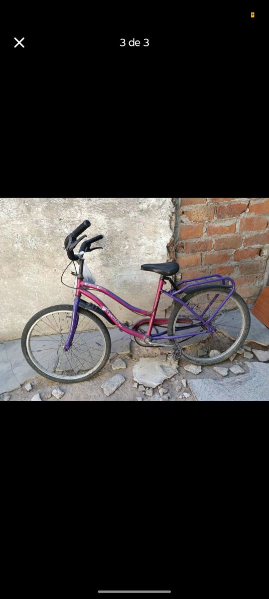 Bicleta