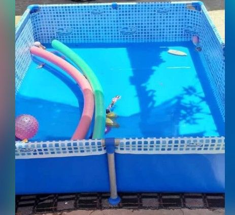 Pileta pelopincho