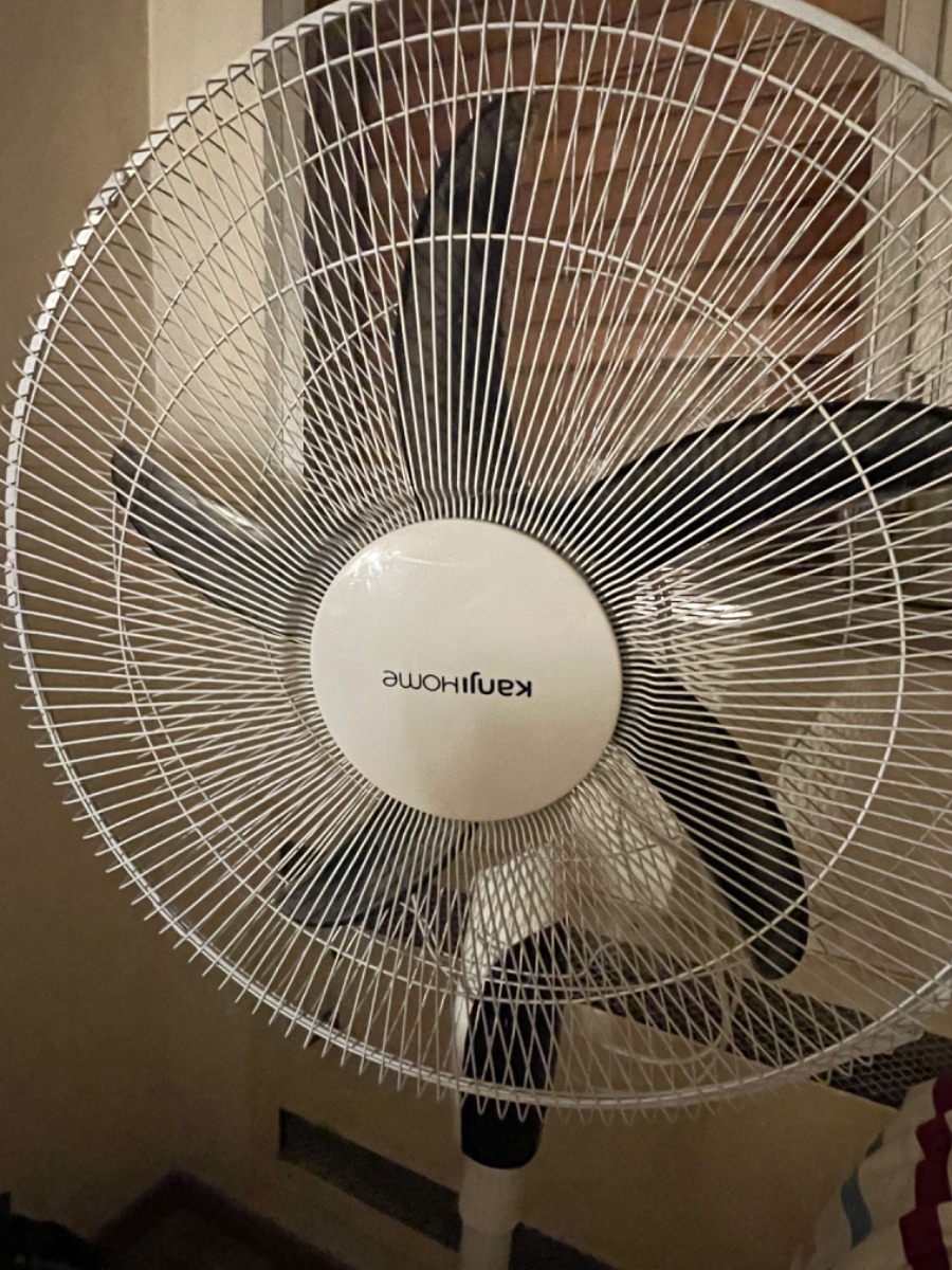 Ventilador KanjiHome