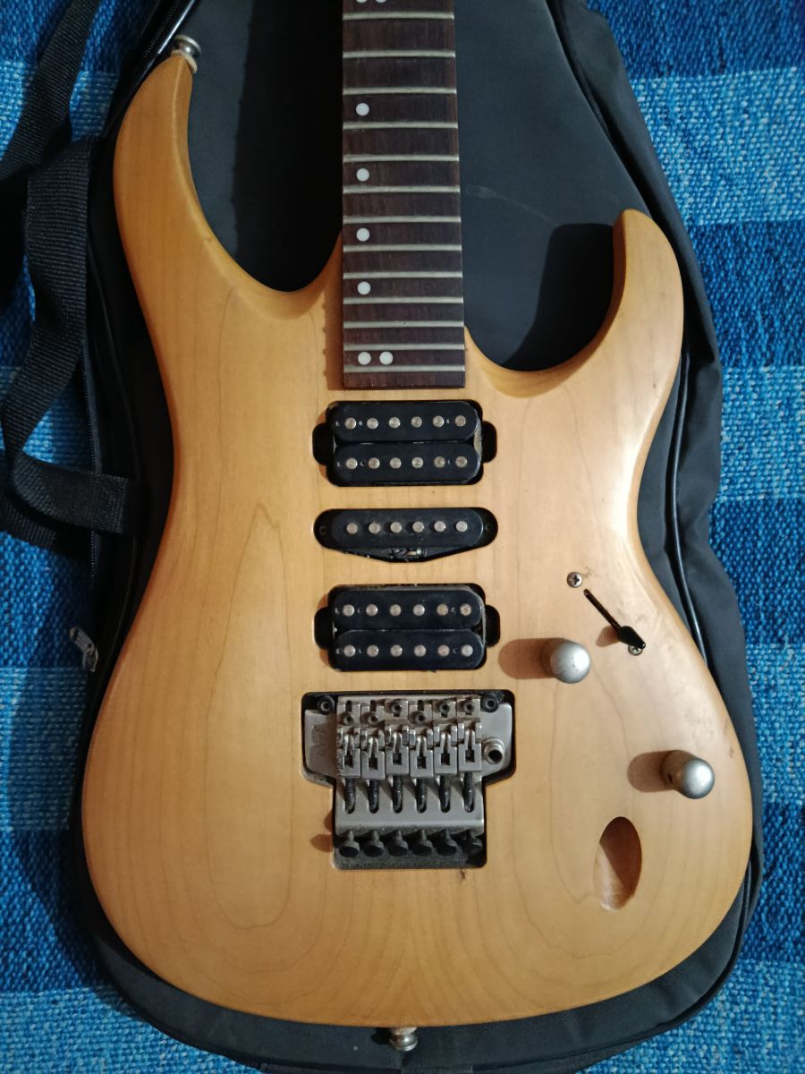 Guitarra electrica Corta Viva Gold 2