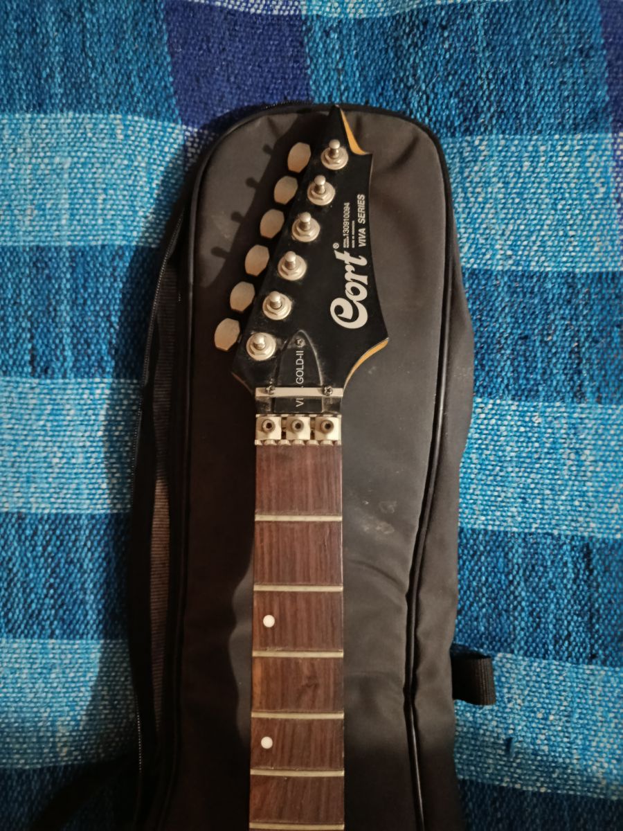 Guitarra electrica Corta Viva Gold 2