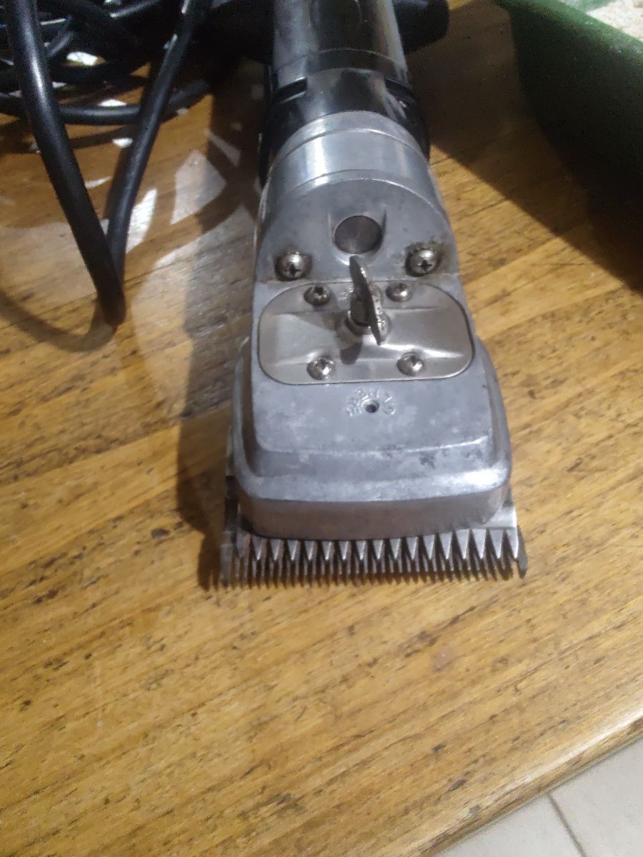 Esquildora cortadora de pelo animales