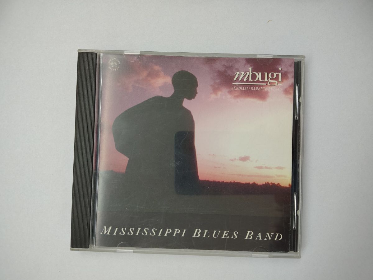 Mississippi Blues Band