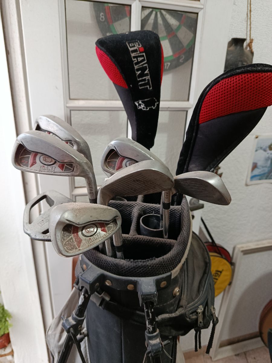 Set de 10 palos de golf y carrito de traslado (3 ruedas). Usados en buen estado.