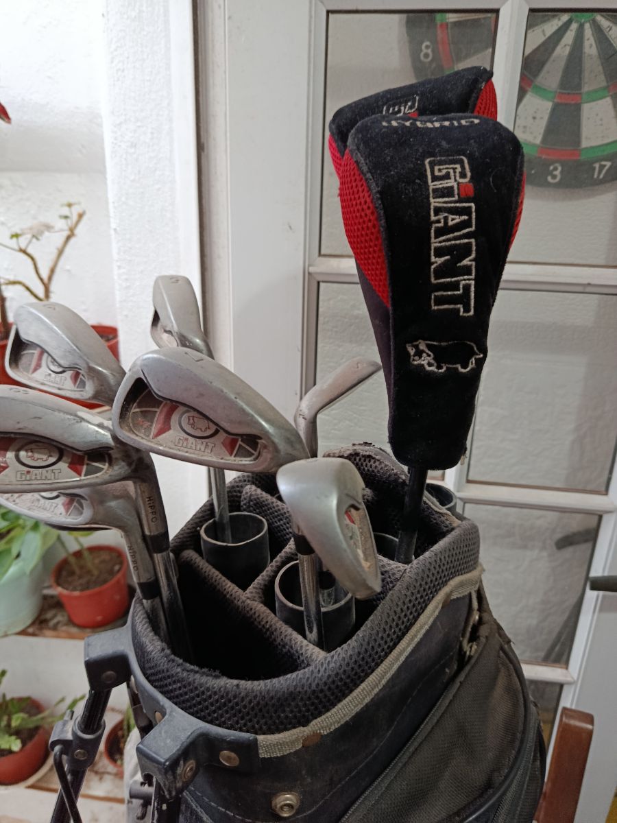 Set de 10 palos de golf y carrito de traslado (3 ruedas). Usados en buen estado.