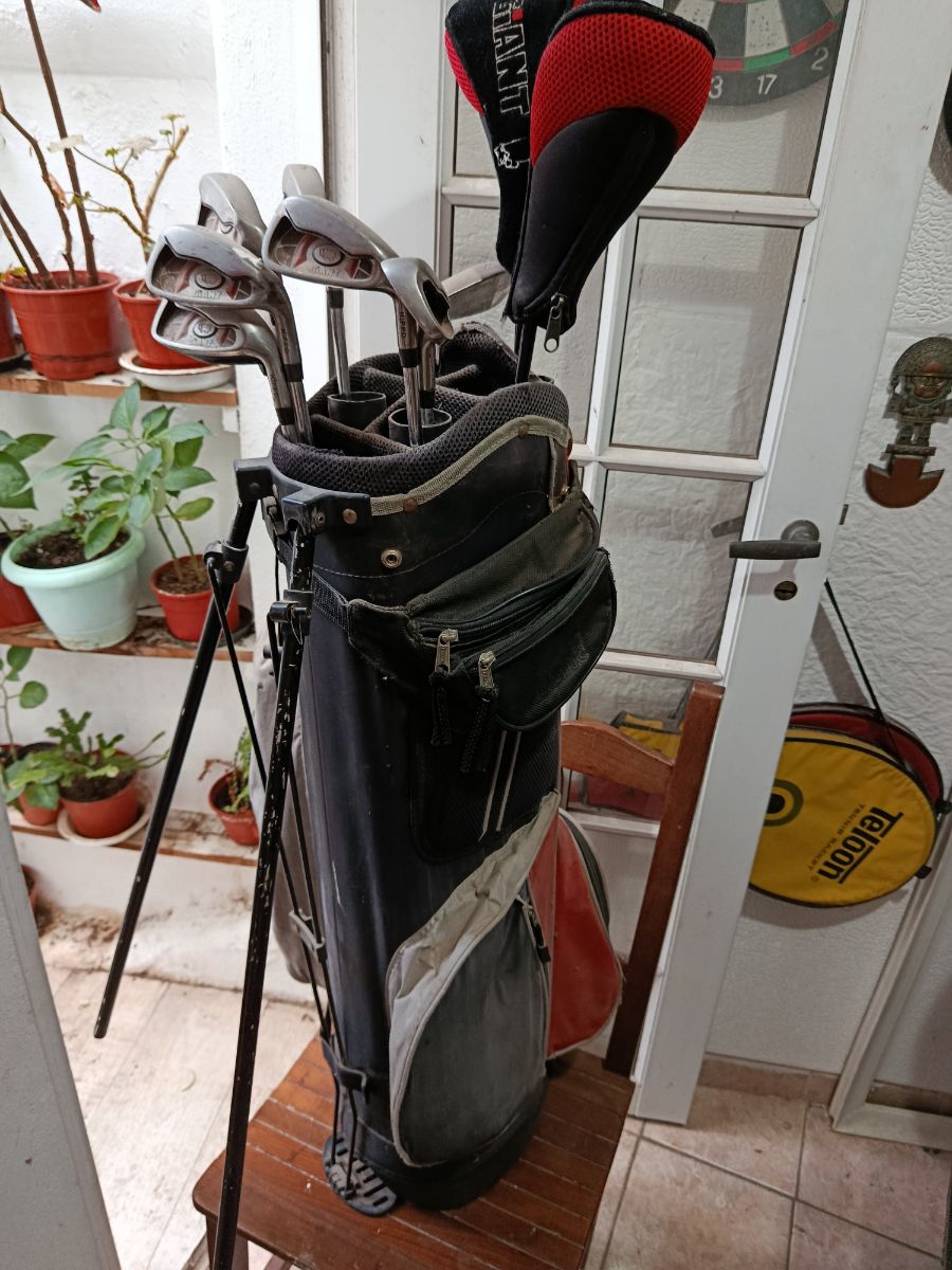 Set de 10 palos de golf y carrito de traslado (3 ruedas). Usados en buen estado.