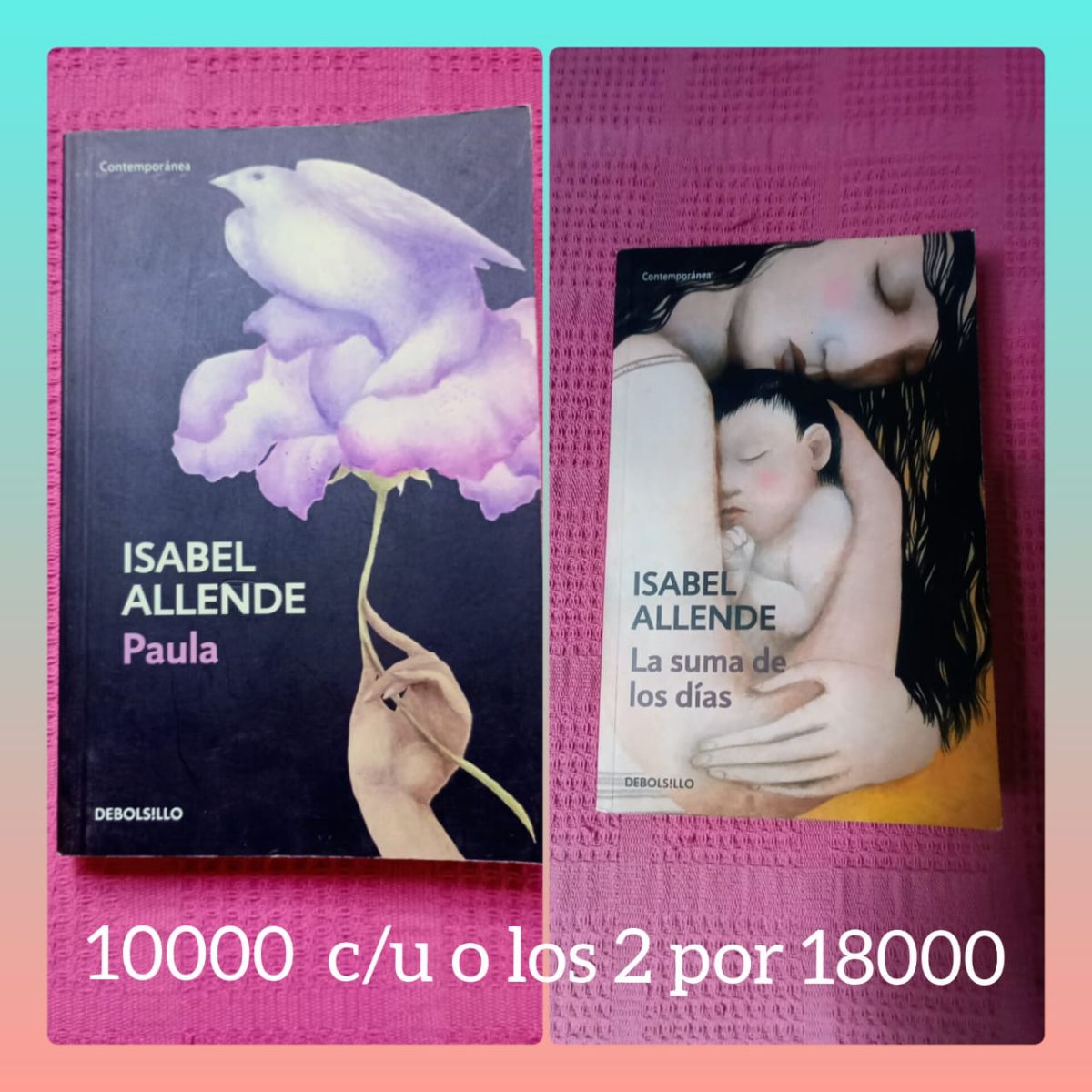 Libros Isabel Allende