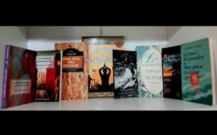 Libros para una Biblioteca  2