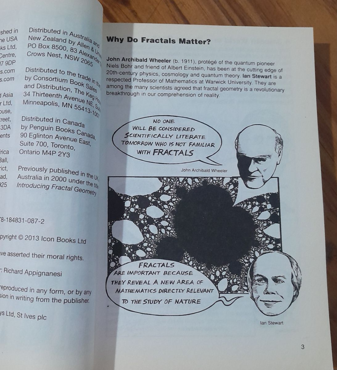 Libro "Fractals a graphic guide"